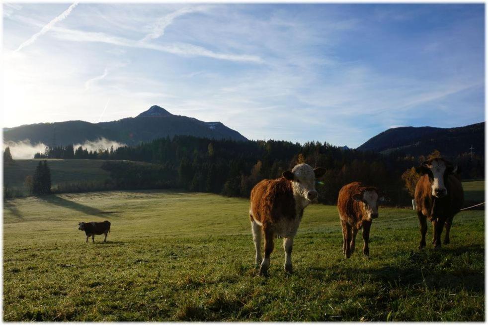 Aparthotel Alpin Apart Flachau Exteriér fotografie