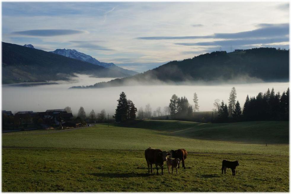 Aparthotel Alpin Apart Flachau Exteriér fotografie